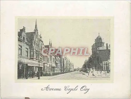 Cartes postales moderne Avenue Cogels Osy Anvers