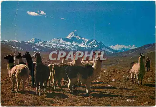Cartes postales moderne Altiplano Boliviano Monte Huayna Potosi