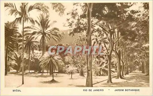 Cartes postales moderne Rio de Janeiro Jardim Botanique