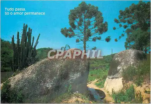 Cartes postales moderne Tudo passa So o amor permanece