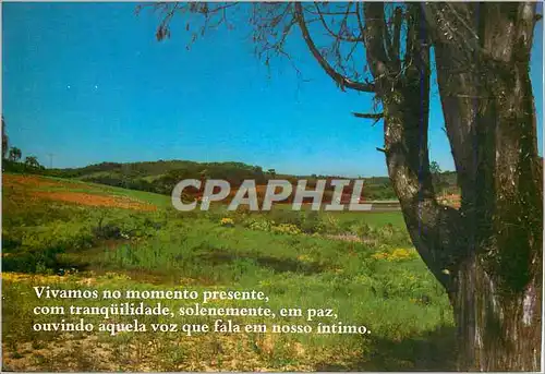 Cartes postales moderne Vivamos no momento presente con tranquilidade solenemente em paz ouvindo aquela voz que fala em