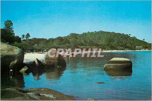 Cartes postales moderne Ilha Paqueta