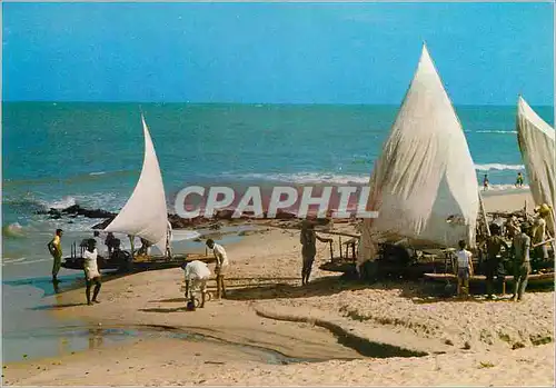 Cartes postales moderne Brasil Turistico Olinda PE Jangadas