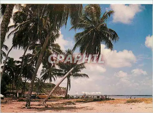 Cartes postales moderne Joao Pessoa Praiba Brasil Penha  Beach