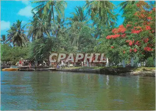 Cartes postales moderne Maceio The Motonautica Lagoa Club Ashore