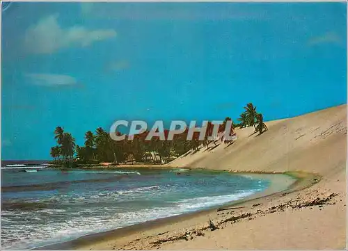 Cartes postales moderne Natal Brasil Genipabu Beach