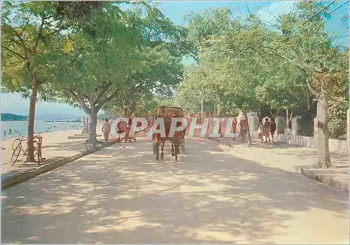 Cartes postales moderne Ilha de Paqueta Cab used by the tourist