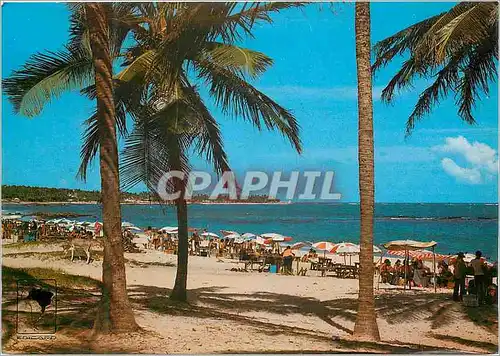 Cartes postales moderne Brasil Salvador Piata Beach