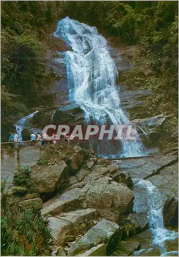 Cartes postales moderne Brasil Turistico Rio de Janeiro Cascatinha Floresta da Tijuca