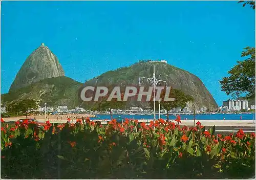 Cartes postales moderne Brasil Turistico Rio de Janeiro Botafogo Gardens with Sugar Loaf