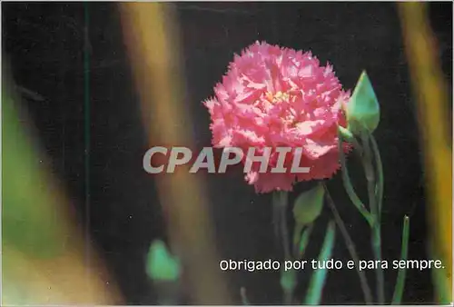 Cartes postales moderne Obrigardo por tudo e para sempre