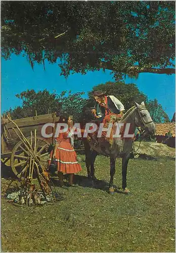Cartes postales moderne Brasil Turistico Rio Grande do Sul Cana tipica dos pampas gauchos