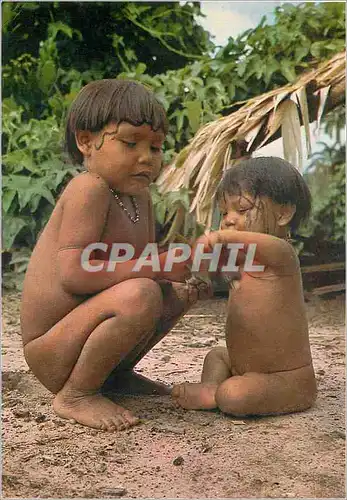 Moderne Karte Brasil Nativo Alto Rio Negro Amazonas