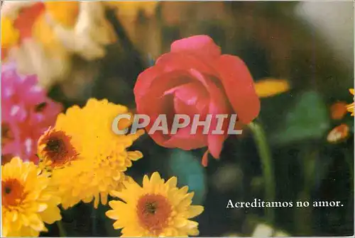 Cartes postales moderne Acreditamos no amor