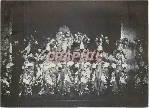 Cartes postales moderne Brasil Topical