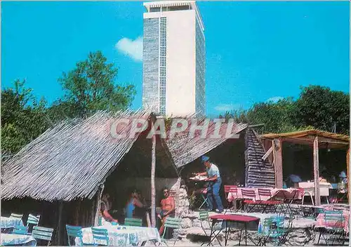 Cartes postales moderne Zlatni piassatzi restaurant Morski drakon