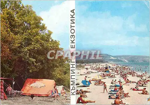 Cartes postales moderne Kranevo camping Exotika