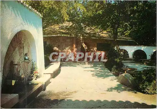 Cartes postales moderne Zlatni piassatzi restaurant Vodenitzata
