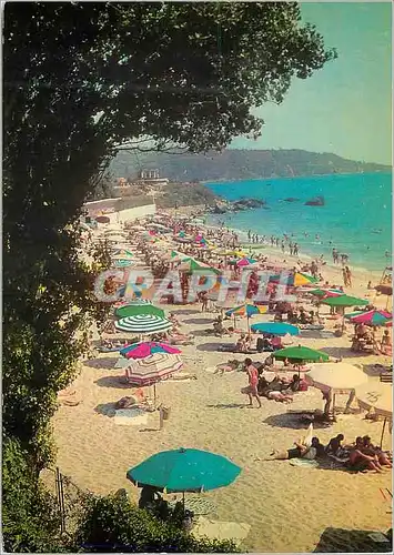 Cartes postales moderne Bapha Villegiature Droujba la plage
