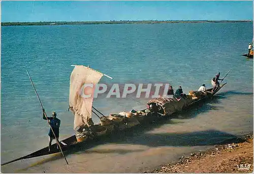 Moderne Karte Cameroun L Afrique en couleurs Pirogue sur la fleuve