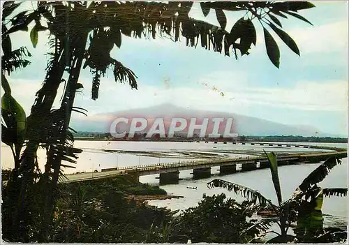 Cartes postales moderne Douala Pont sur le Wouri Au loin le Mont Cameroun