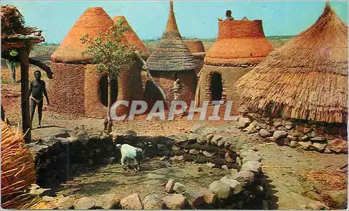 Cartes postales moderne Cases typiques du noid Cameroun