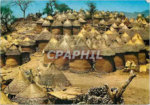 Cartes postales moderne Cameroun Cases Kirdis