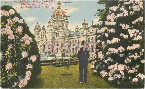 Cartes postales Victoria BC Canada Rhododendron Time at the Parliament Buildings