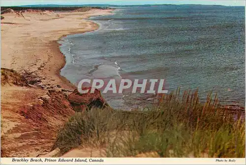 Cartes postales moderne Brackley Beach Prince Edward Island Canada