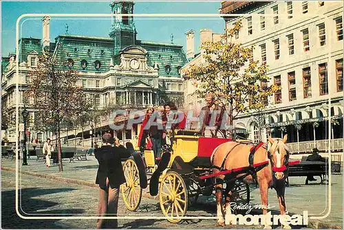 Cartes postales moderne Montreal Quebec Calache sur la place Jacques Cartier