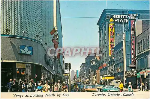 Cartes postales moderne Yonge St Looking North by Day Toronto Ontario Canada