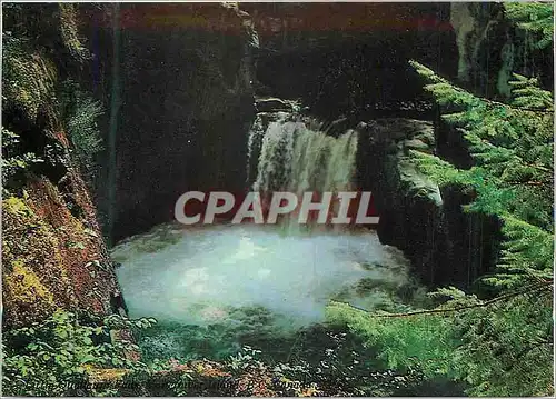 Cartes postales moderne Victoria Island British Columbia