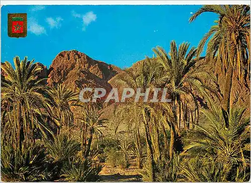 Cartes postales moderne Tafraout Vallee du Lion qui rit