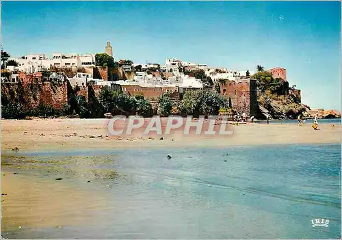 Cartes postales moderne Rabat La pointe des Oudaias