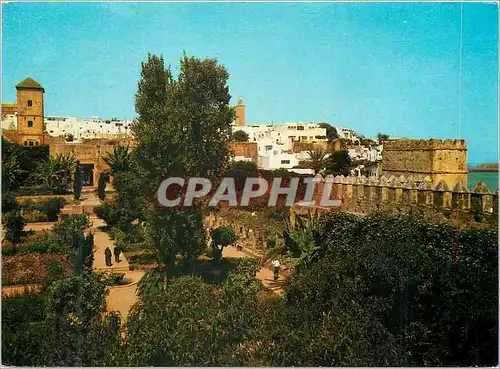 Cartes postales moderne Rabat Les Oudaias