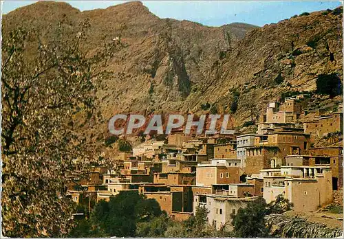 Cartes postales moderne Le Maroc Pittoresque Tafraout