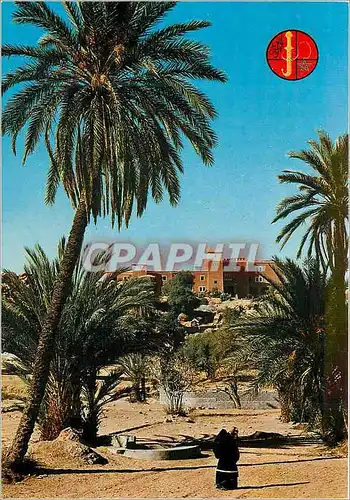 Cartes postales moderne Tafraout Grand Hotel du Sud