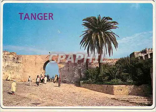 Cartes postales moderne Tanger La Kasbah Ancien Medina