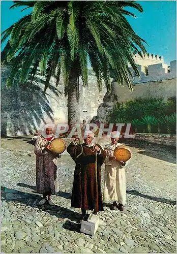 Cartes postales moderne Tanger Dompteur de Serpents