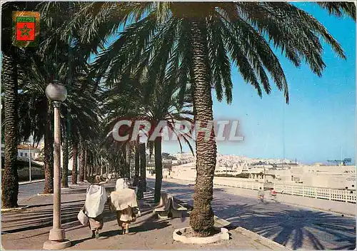 Cartes postales moderne Tanger