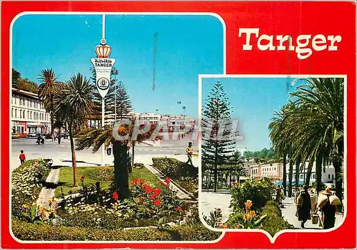 Cartes postales moderne Tanger Avenue d'Espagne