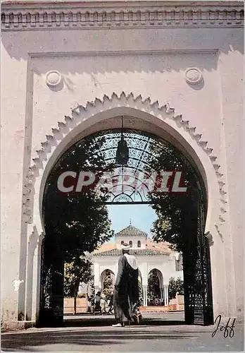 Cartes postales moderne Tetouan Place Mohanned