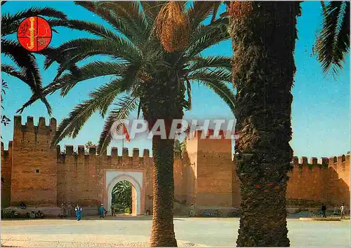 Moderne Karte Taroudant Palmiers