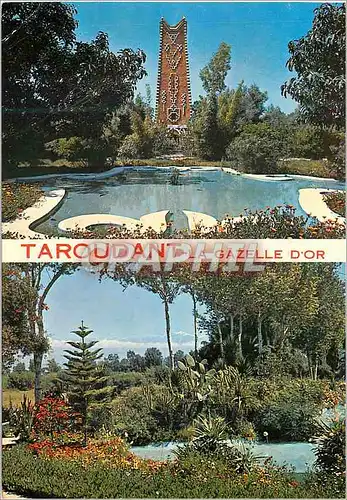 Cartes postales moderne Taroudant La Gazelle d'Or