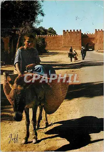 Cartes postales moderne Remparts de Taroudant Ane Donley