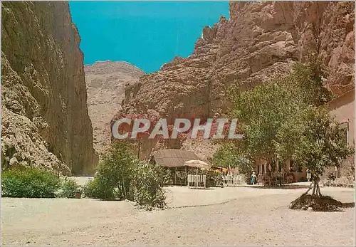 Cartes postales moderne Tenerhir Les Gorges
