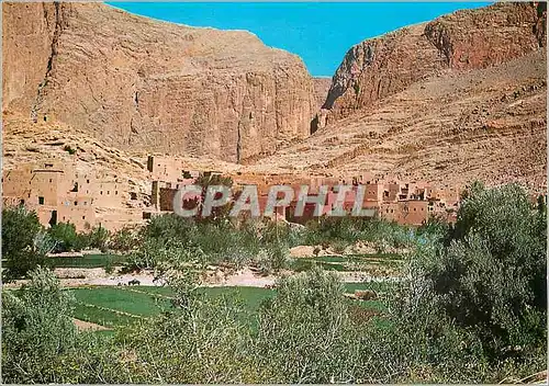 Cartes postales moderne Le Maroc Pittoresque Tinerhir