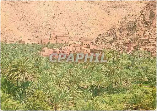 Cartes postales moderne Tenerhir Palmiers