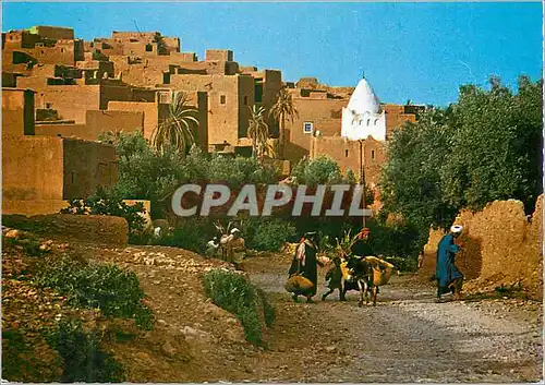 Cartes postales moderne Le Maroc Pittoresque Tinerhir Ane Donkey