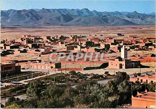 Cartes postales moderne Le Maroc Pittoresque Tinerhir